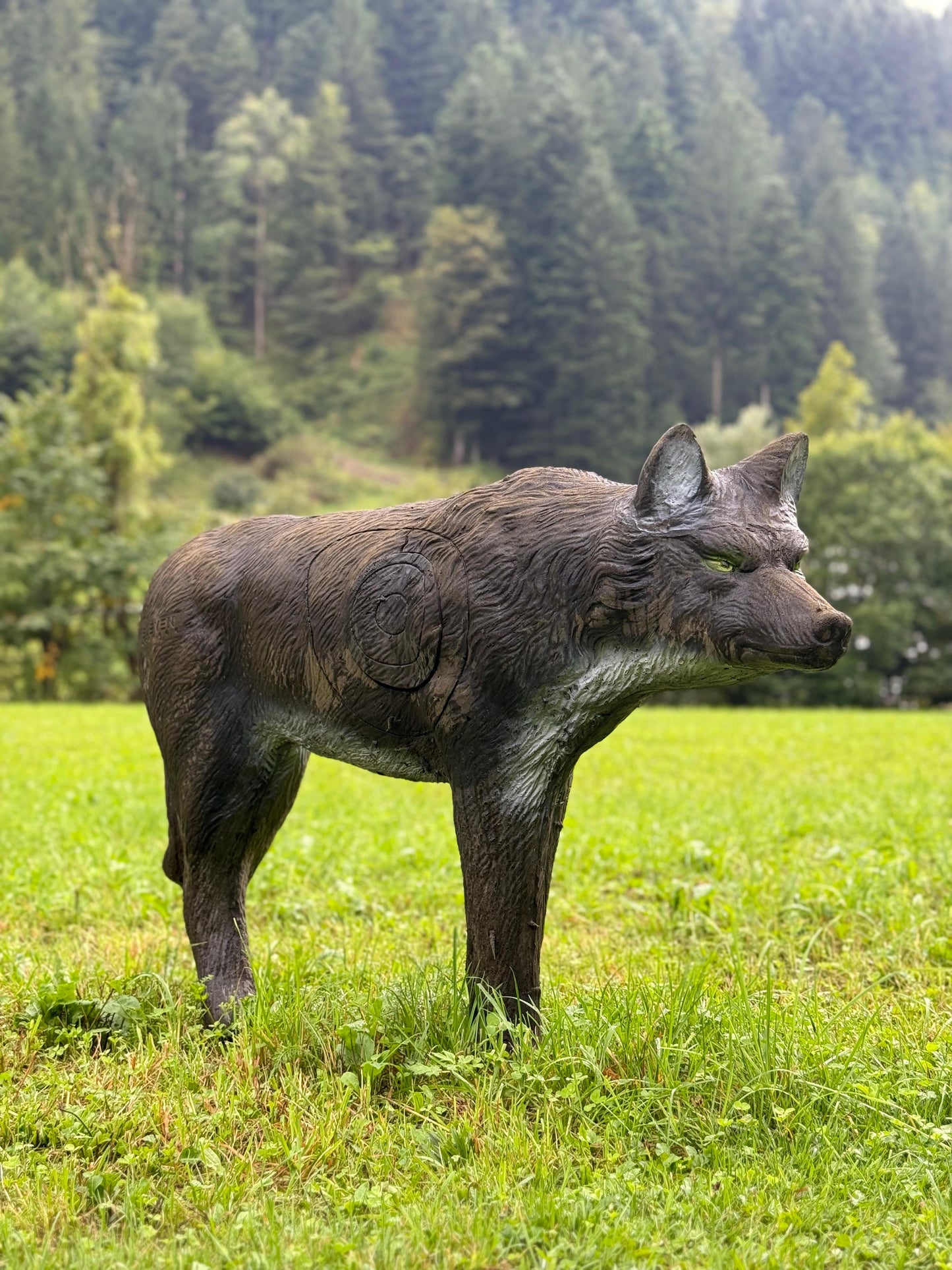 GREY WOLF with insert