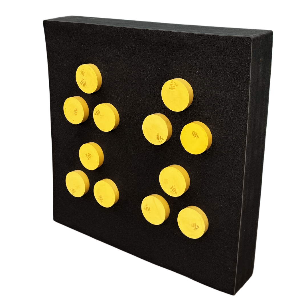 Vegas Competition- Range Target