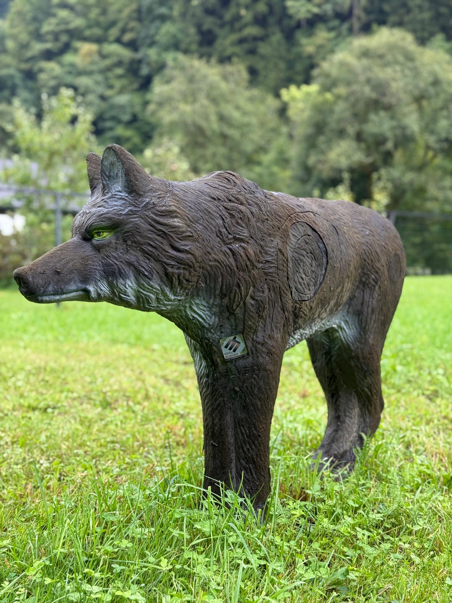 GREY WOLF with insert